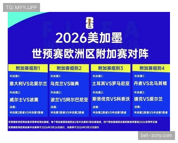 波黑队2026世界杯预选赛前景分析 巴尔干雄鹰能否重返世界杯舞台